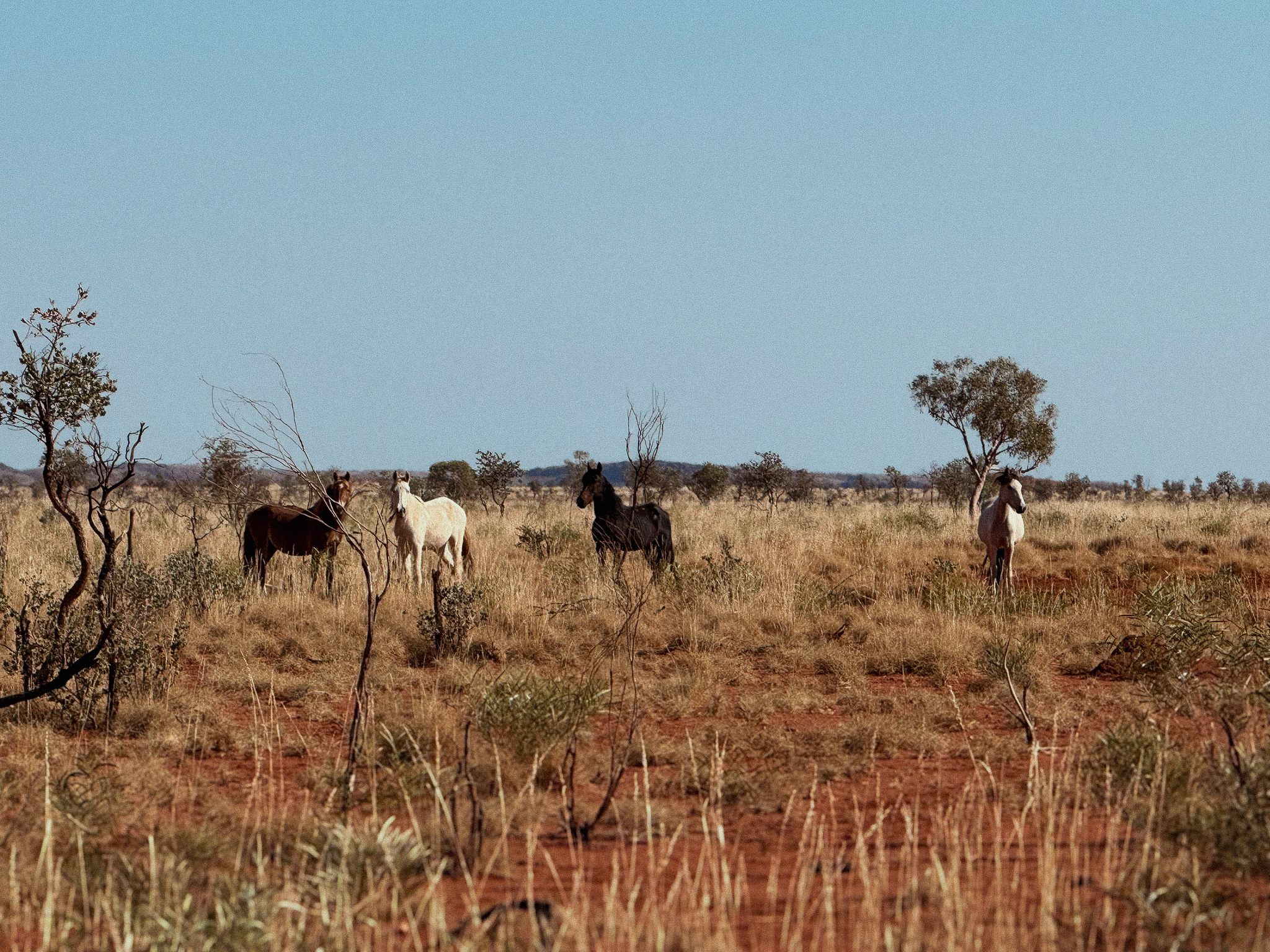 Ben Pepper Quaterly MUNS Inspection (2)