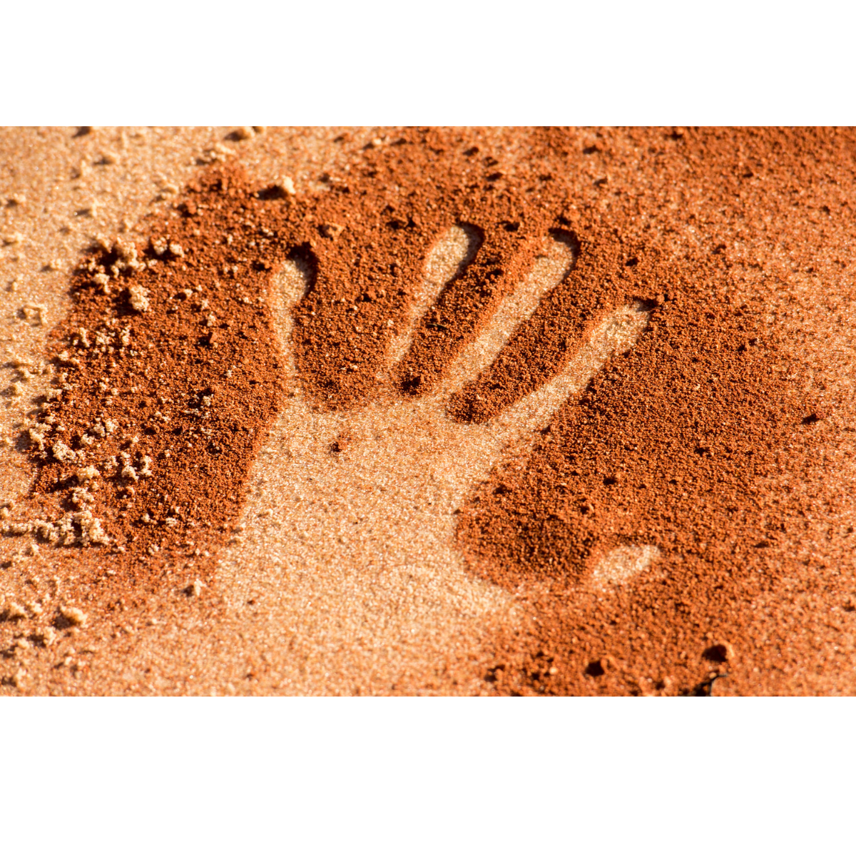 Social Media Posts 2026