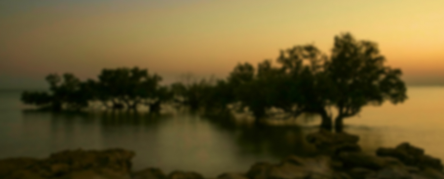 banner2